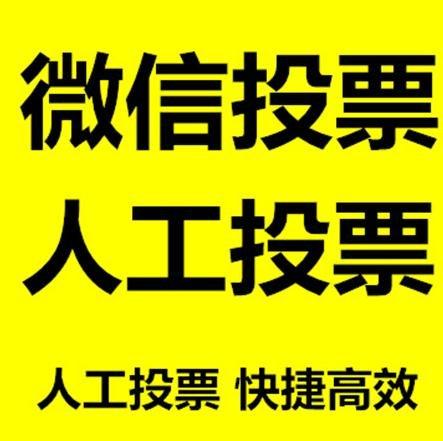 朝阳市投票活动拉票能被查出来吗？如何操作能不被发现？